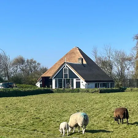 Zuid Haffel Den Burg