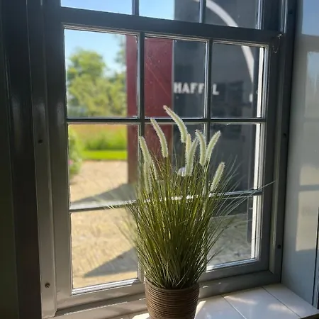 Zuid Haffel Vila Den Burg