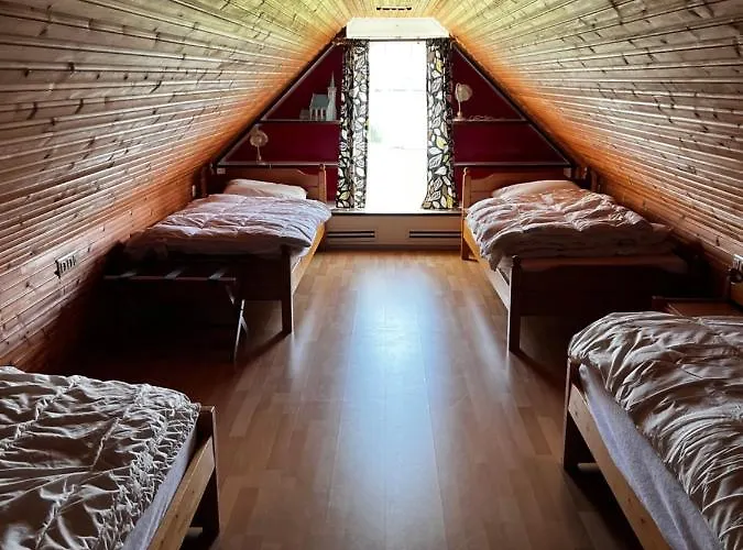 Zuid Haffel Den Burg