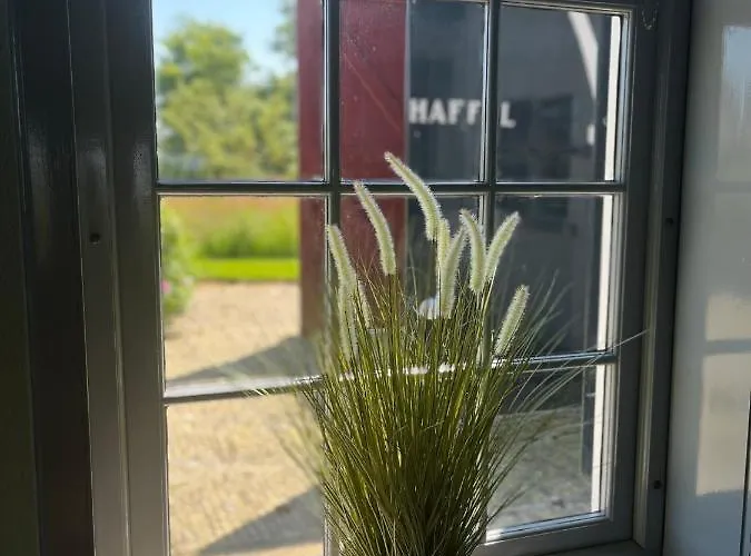 Zuid Haffel Villa Den Burg